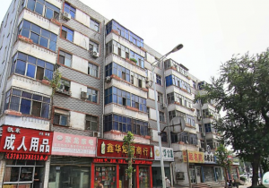 隋唐洛陽城國(guó)家遺址公園***路路由改線項(xiàng)目征收評(píng)估